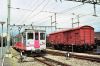 Filename=YSC_4_19960510_381-10.jpg
Filesize=504KB
Dimensions=1440x960
Date added=Mar 20, 2016 YSC_4_19960510_381-10.jpg