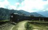 Darjeeling6.jpg