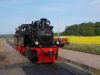 Filename=DSCN0633.JPG
Filesize=313KB
Dimensions=1366x1024
Date added=May 22, 2016 DSCN0633.JPG