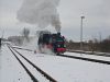Filename=DSCN8247.JPG
Filesize=225KB
Dimensions=1280x960
Date added=Jan 18, 2016 DSCN8247.JPG
