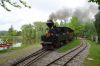 2012-05-19_(10)_Taxus_und_Sequoia_im_Bahnhof_Baumschulensee.JPG