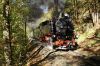Filename=20141019-03-WTB-Altb-GB.JPG
Filesize=1638KB
Dimensions=1440x956
Date added=Oct 24, 2014 20141019-03-WTB-Altb-GB.JPG