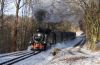20190119-15-WTB-GB.JPG