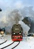Filename=DSC_0737.JPG
Filesize=303KB
Dimensions=1017x1440
Date added=Jan 29, 2015 DSC_0737.JPG