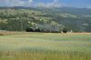 Filename=DSC_0173.JPG
Filesize=395KB
Dimensions=1440x960
Date added=Aug 17, 2014 DSC_0173.JPG