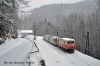 2013_03_Mariazellerbahn_1099_016_Puchenstuben_Schnee.jpg