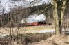 Filename=20160307_0720-2.jpg
Filesize=1014KB
Dimensions=1440x960
Date added=Mar 31, 2016 20160307_0720-2.jpg