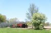 Filename=20160506_0184.jpg
Filesize=517KB
Dimensions=1440x960
Date added=May 22, 2016 20160506_0184.jpg