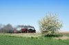 Filename=20160506_0233.jpg
Filesize=513KB
Dimensions=1440x960
Date added=May 22, 2016 20160506_0233.jpg