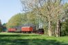 Filename=20160507_0473.jpg
Filesize=808KB
Dimensions=1440x960
Date added=May 22, 2016 20160507_0473.jpg