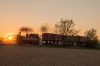 Filename=20160507_1062.jpg
Filesize=435KB
Dimensions=1440x960
Date added=May 22, 2016 20160507_1062.jpg