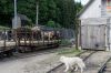 Filename=20160607_0115-2.jpg
Filesize=733KB
Dimensions=1440x960
Date added=Aug 01, 2016 20160607_0115-2.jpg