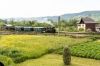 Filename=20160610_0293.jpg
Filesize=736KB
Dimensions=1440x960
Date added=Aug 01, 2016 20160610_0293.jpg