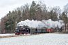 Filename=20171216_1059.jpg
Filesize=1364KB
Dimensions=1920x1280
Date added=Dec 24, 2017 20171216_1059.jpg