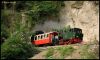 Filename=2017_08_27_40_Jahre_Brohltalbahn_226.jpg
Filesize=1149KB
Dimensions=1400x841
Date added=Oct 07, 2017 2017_08_27_40_Jahre_Brohltalbahn_226.jpg
