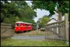 Filename=2017_08_27_40_Jahre_Brohltalbahn_526.jpg
Filesize=1242KB
Dimensions=1400x952
Date added=Oct 07, 2017 2017_08_27_40_Jahre_Brohltalbahn_526.jpg