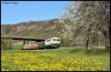 Filename=2021_04_25_Brohltalbahn_262.jpg
Filesize=1265KB
Dimensions=1440x941
Date added=May 07, 2021 2021_04_25_Brohltalbahn_262.jpg