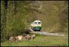 Filename=2021_04_25_Brohltalbahn_329.jpg
Filesize=1473KB
Dimensions=1440x992
Date added=May 07, 2021 2021_04_25_Brohltalbahn_329.jpg