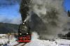 2015-02-09_Harz_99-7237_DrAH_8568_Qualm_bum1440.jpg