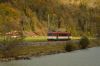 Filename=DSC_0196_01.JPG
Filesize=329KB
Dimensions=1200x798
Date added=Aug 31, 2020 DSC_0196_01.JPG