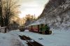 Filename=20121208_BTE_000-SL-1112.jpg
Filesize=459KB
Dimensions=1440x960
Date added=Dec 18, 2012 20121208_BTE_000-SL-1112.jpg