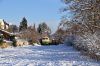 Filename=20121208_BTE_110-0007.jpg
Filesize=558KB
Dimensions=1440x960
Date added=Dec 18, 2012 20121208_BTE_110-0007.jpg