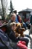 Filename=20070401_FFM_Fahrtag_5319.jpg
Filesize=169KB
Dimensions=768x1152
Date added=Apr 08, 2007 20070401_FFM_Fahrtag_5319.jpg