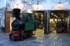 Filename=20101106_FFM_1440-101-8838.jpg
Filesize=412KB
Dimensions=1440x960
Date added=Jan 05, 2018 20101106_FFM_1440-101-8838.jpg