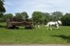 20130602_FFM_111-9667.jpg