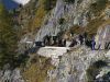Filename=20071020_LeChat_160900-JF-5900.jpg
Filesize=418KB
Dimensions=1200x900
Date added=Nov 28, 2007 20071020_LeChat_160900-JF-5900.jpg