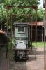 Filename=20130622_Kipp_112-6162.jpg
Filesize=418KB
Dimensions=960x1440
Date added=Jul 23, 2013 20130622_Kipp_112-6162.jpg