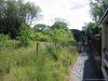 Filename=20060614_2_5_WHR.jpg
Filesize=487KB
Dimensions=1280x960
Date added=Jan 14, 2007 20060614_2_5_WHR.jpg