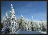 20080104_HSB-04_5493_Brocken_Blick_zurueck.jpg