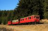 Filename=20110329_HSB_Holzborn-1123_VT137566_T3-lsvhrP8902-Tanne.jpg
Filesize=327KB
Dimensions=1280x838
Date added=May 17, 2011 20110329_HSB_Holzborn-1123_VT137566_T3-lsvhrP8902-Tanne.jpg