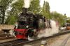 20120604_HSB_Holzborn-0152_996101-lssRollbockzug-WernigerodeWesterntor.jpg