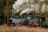 Filename=20140301_HSB_Holzborn-7391_99_6001-l(S)_anf-Elend.jpg
Filesize=497KB
Dimensions=1440x961
Date added=Mar 06, 2014 20140301_HSB_Holzborn-7391_99_6001-l(S)_anf-Elend.jpg