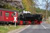 Filename=20141018_HSB_1440-118-4602.jpg
Filesize=486KB
Dimensions=1440x960
Date added=Aug 01, 2018 20141018_HSB_1440-118-4602.jpg