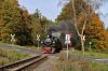Filename=20141018_HSB_1440-118-4881.jpg
Filesize=565KB
Dimensions=1440x960
Date added=Aug 01, 2018 20141018_HSB_1440-118-4881.jpg
