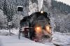 Filename=20170116_HSB_1440-103-3084.jpg
Filesize=372KB
Dimensions=1440x961
Date added=Jan 25, 2017 20170116_HSB_1440-103-3084.jpg