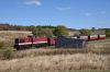 Filename=20180929_HSB_1440-107-4755.jpg
Filesize=377KB
Dimensions=1440x961
Date added=Jan 15, 2019 20180929_HSB_1440-107-4755.jpg