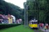 20090806_Kirn_IMGP6564-1_Bad_Schandau_Stadtpark.jpg