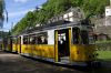 Filename=20130512_Kirn_465.jpg
Filesize=403KB
Dimensions=1440x960
Date added=Jul 25, 2013 20130512_Kirn_465.jpg