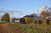 Filename=20171022_MBB_1440-105-6799.jpg
Filesize=413KB
Dimensions=1440x961
Date added=Nov 19, 2017 20171022_MBB_1440-105-6799.jpg