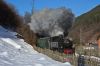 Filename=20190219_1440-1996.jpg
Filesize=295KB
Dimensions=1440x960
Date added=Feb 06, 2020 20190219_1440-1996.jpg