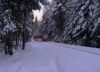 Filename=20081127_CJ_023.jpg
Filesize=318KB
Dimensions=1200x872
Date added=Dec 28, 2008 20081127_CJ_023.jpg