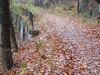 Filename=20081028_KO_085_Stuetzgewoelbe_hinter_Niedercolmnitz.jpg
Filesize=397KB
Dimensions=1200x900
Date added=Nov 22, 2008 20081028_KO_085_Stuetzgewoelbe_hinter_Niedercolmnitz.jpg