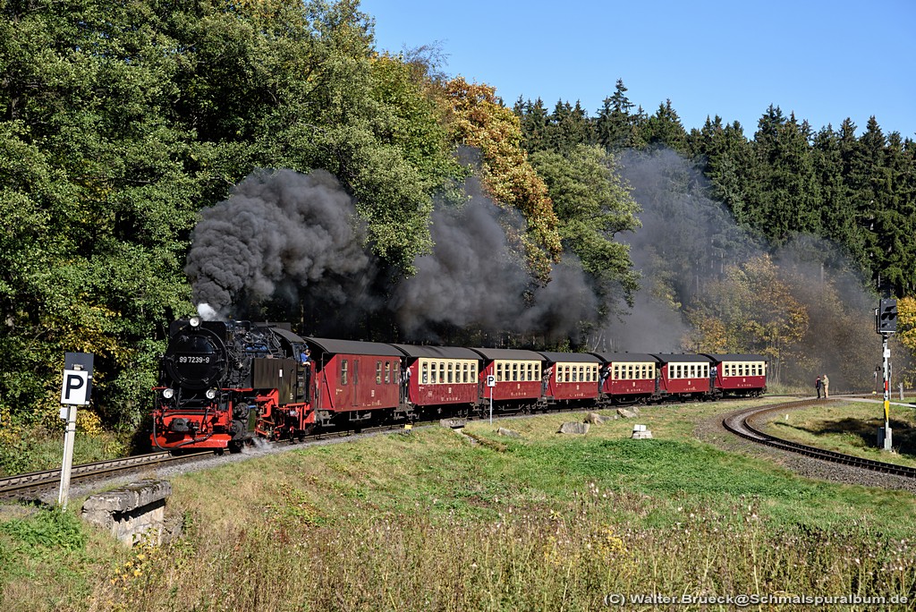 http://www.schmalspuralbum.de/albums/wb/ZZ-Public/Foren-Fotos/2016/20161016_HSB_1024-102-8392.jpg